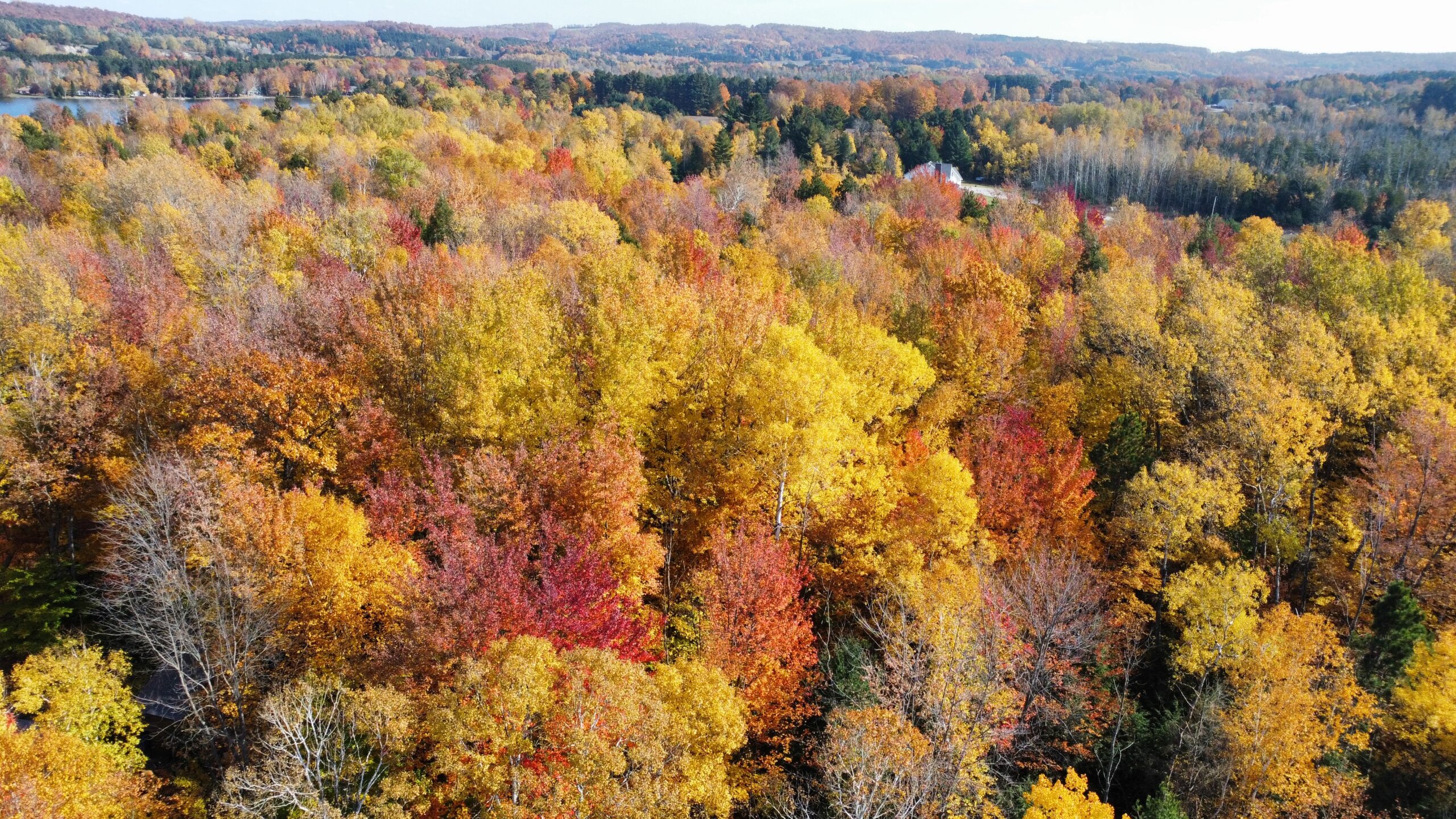 We Are Mackinac County, Michigan Land Buyers!