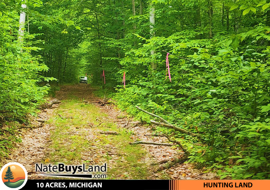 10-ACRES,-MICHIGAN