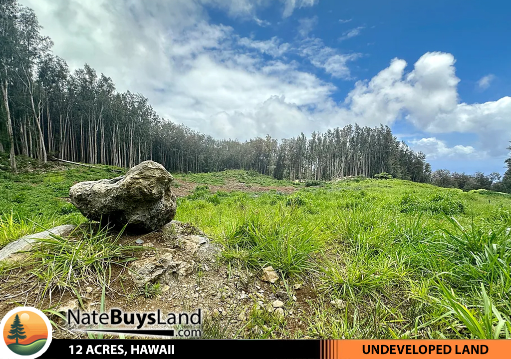 12-ACRES,-HAWAII