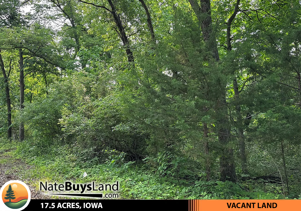 17.5-ACRES,-IOWA
