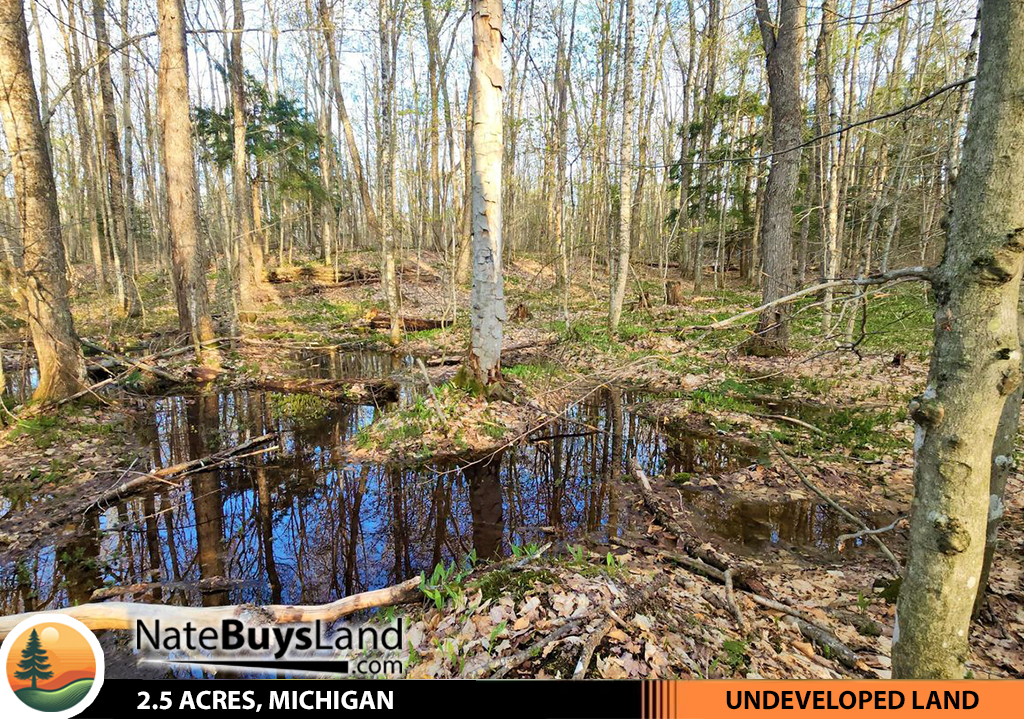 2.5-ACRES-MICHIGAN