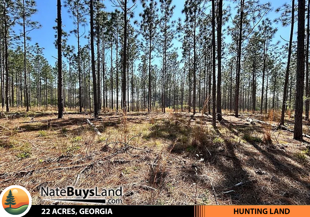 22-ACRES,-GEORGIA
