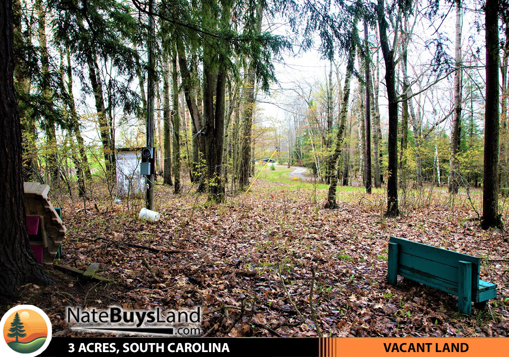 3-ACRES,-SOUTH-CAROLINA