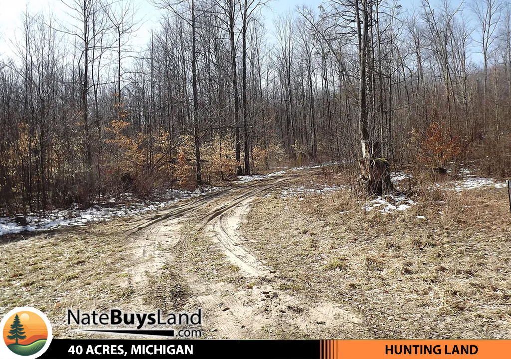 40-ACRES,-MICHIGAN