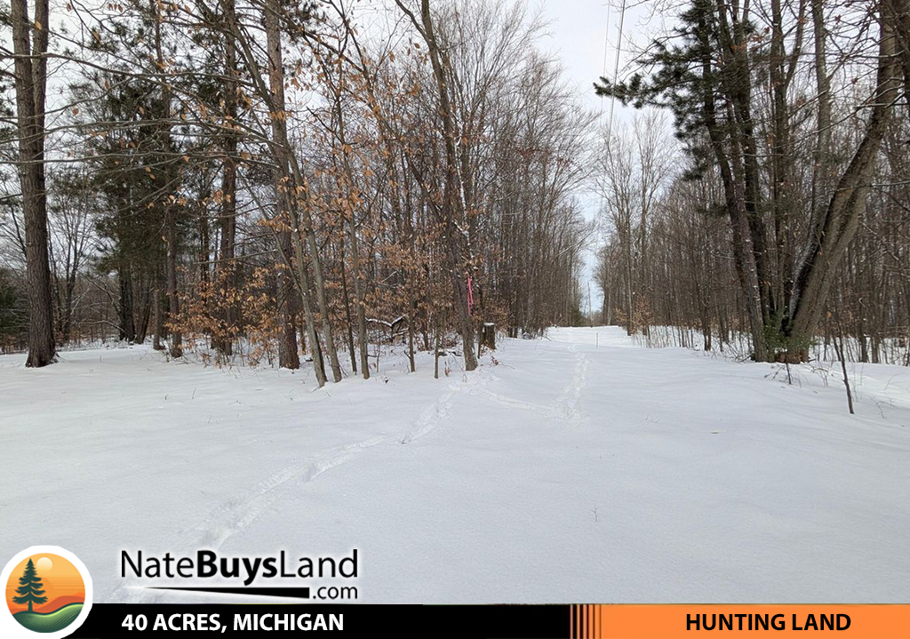 40 ACRES, MICHIGAN