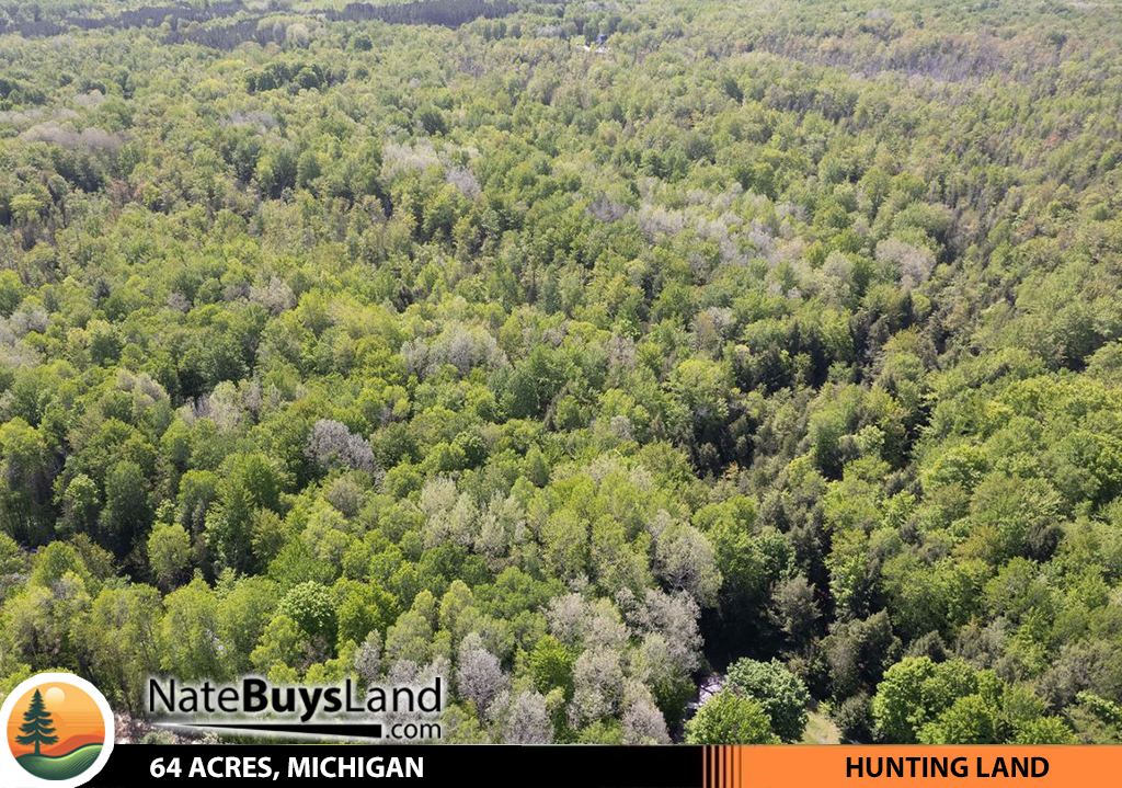 64 ACRES, MICHIGAN