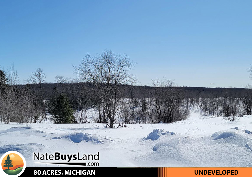 80-ACRES,-MICHIGAN