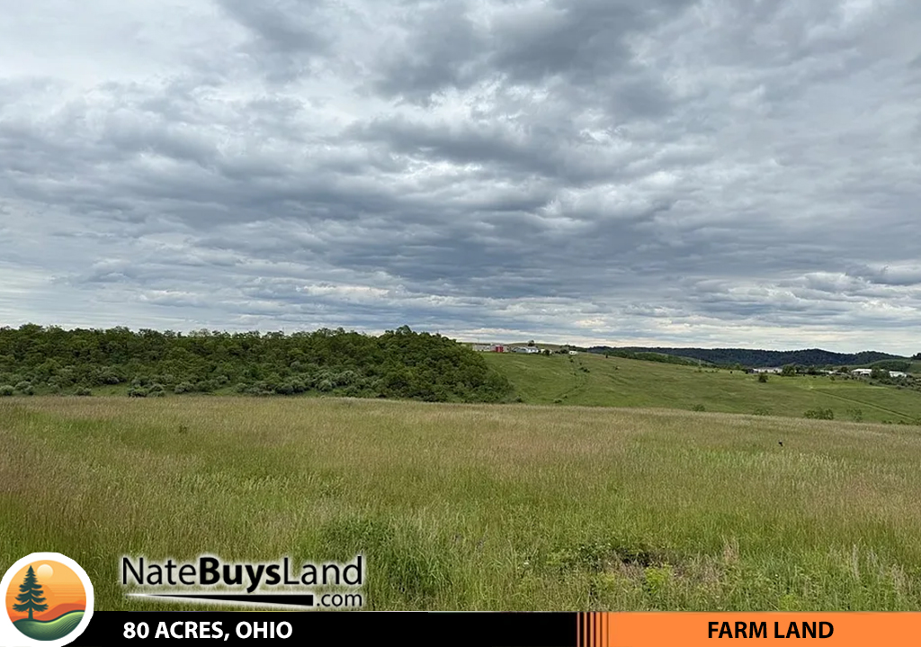 80 ACRES, OHIO